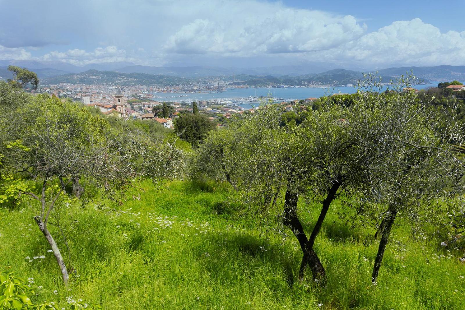 Апартаменты Gli Ulivi Sul Golfo E Le 5 Terre Специя Экстерьер фото