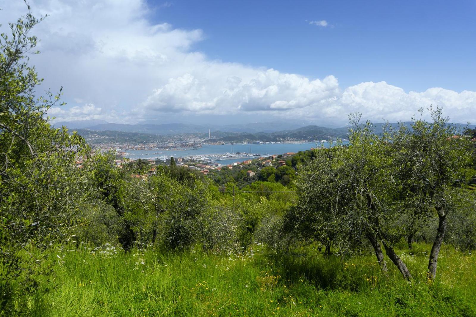 Апартаменты Gli Ulivi Sul Golfo E Le 5 Terre Специя Экстерьер фото