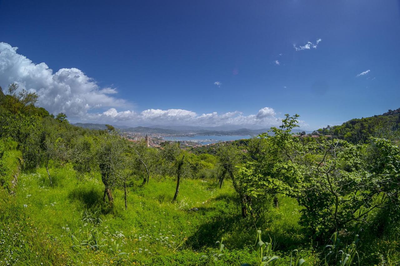 Апартаменты Gli Ulivi Sul Golfo E Le 5 Terre Специя Экстерьер фото